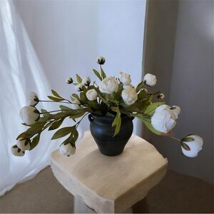 Viral Ashland Cream Peony Stems Bundle of 5.